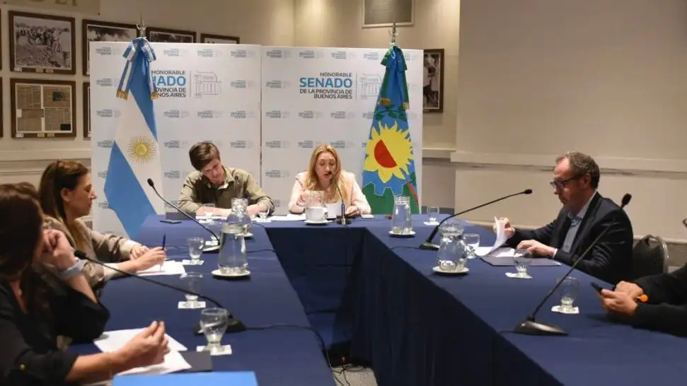 La comisión de Educación del Senado bonaerense aprobó un proyecto para "concientizar sobre la prevención del grooming" en las escuelas.