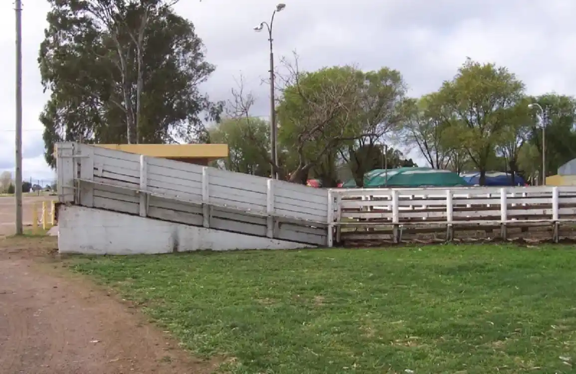 Un hombre murió tras ser aplastado contra un manga de embarque de ganado