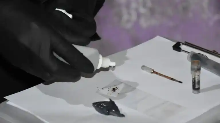 Megaoperativos antidroga en Córdoba: 11 detenidos y millonario secuestro de estupefacientes - 7