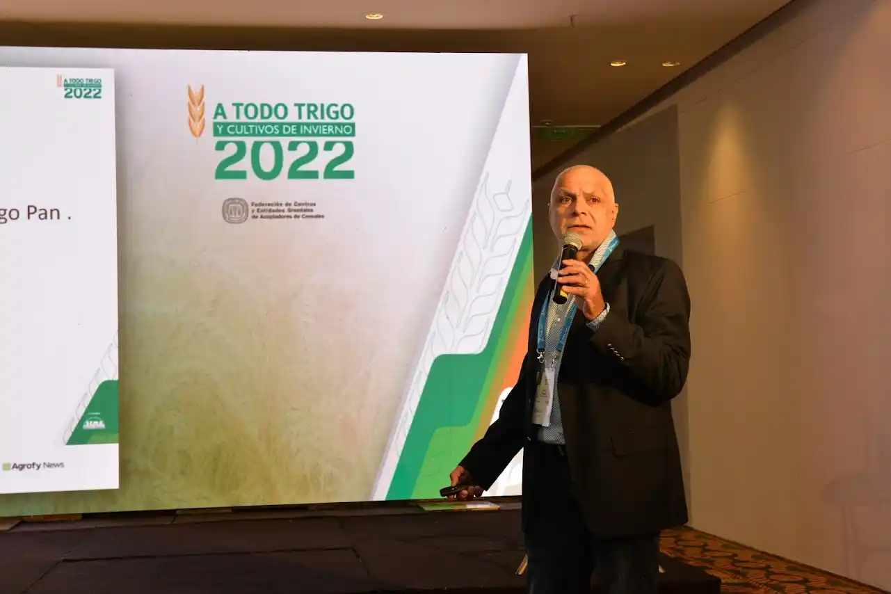 Los nuevos y no tan nuevos trigos que quieren salir a ganar mercados