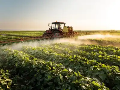 El campo argentino, a merced de altos impuestos e insumos costosos