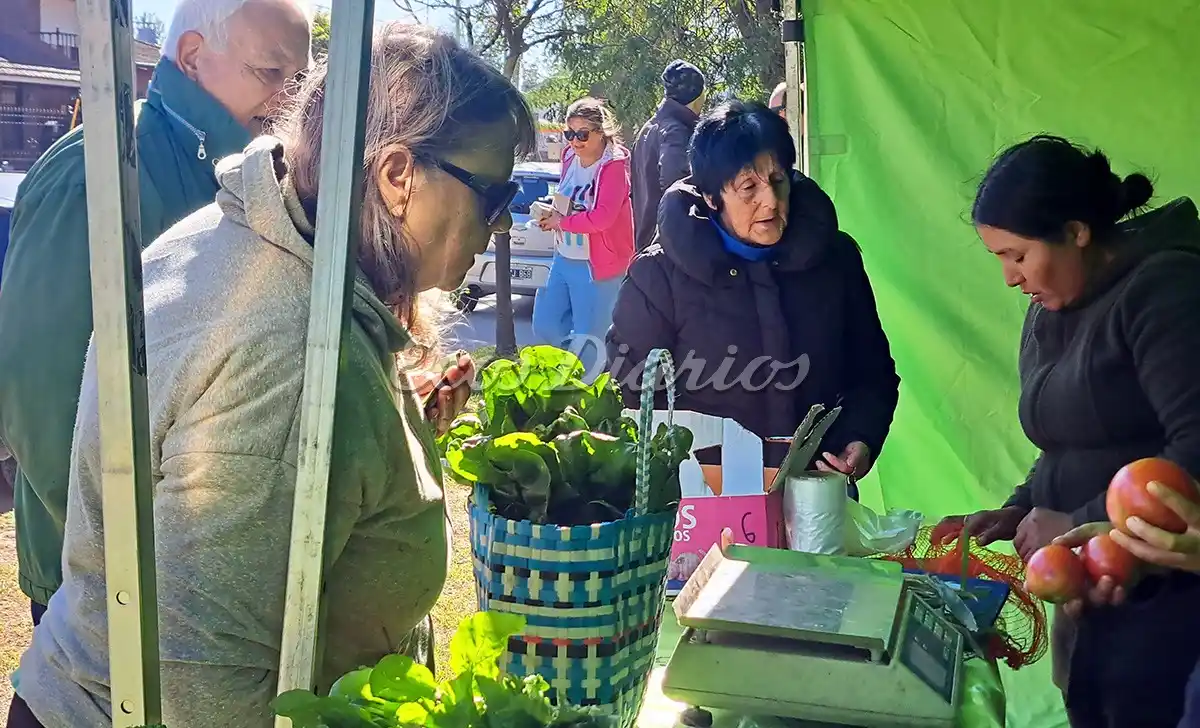 Verduras frescas. Los vecinos eligen la mercadería en los stands que se armaron al aire libre