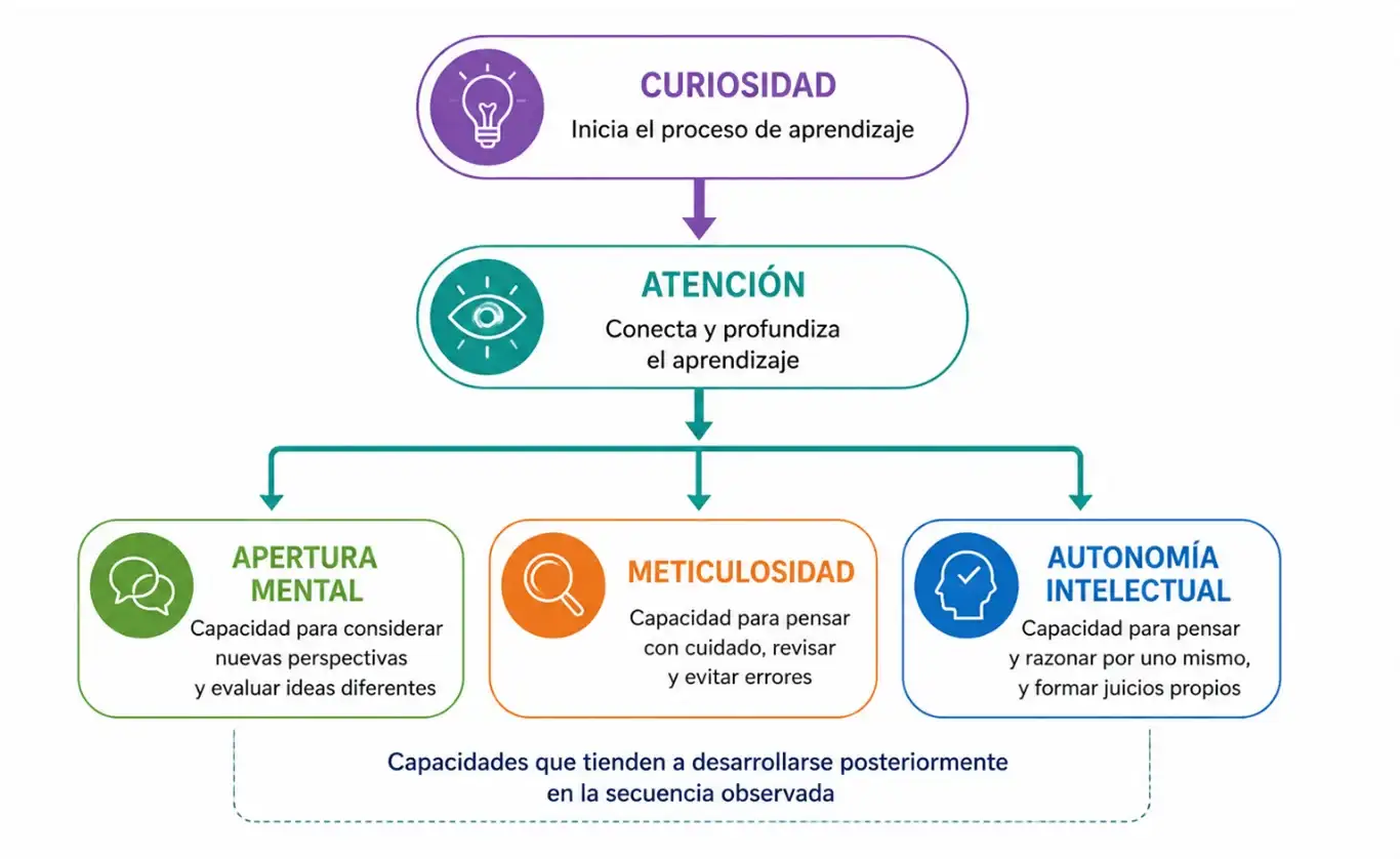 Curiosidad, atención y pensamiento crítico: qué dice un estudio sobre cómo se desarrollan las virtudes intelectuales