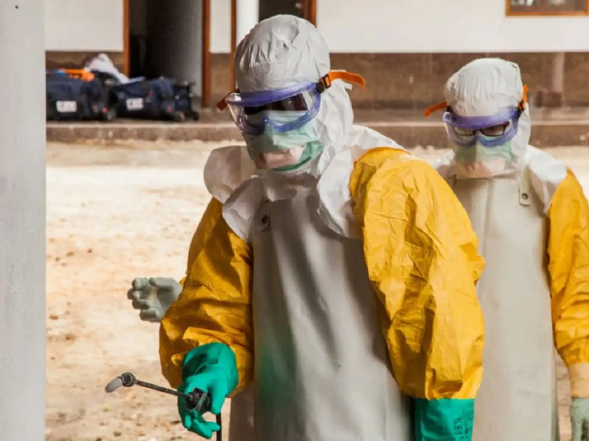 Chapare, el nuevo virus que preocupa a los científicos