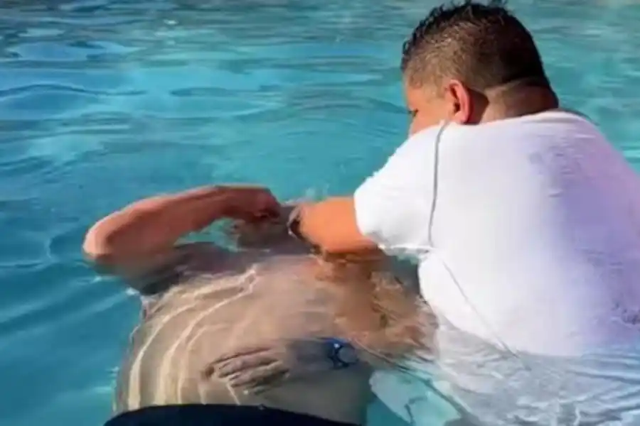 Video: un pastor bautizó al Turco García en una pileta de Miami