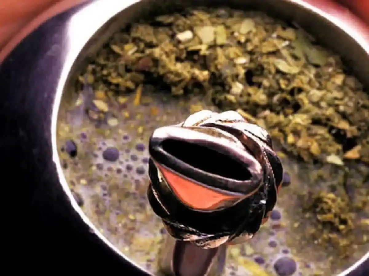 El consumo de yerba mate aumentó 3,5%
