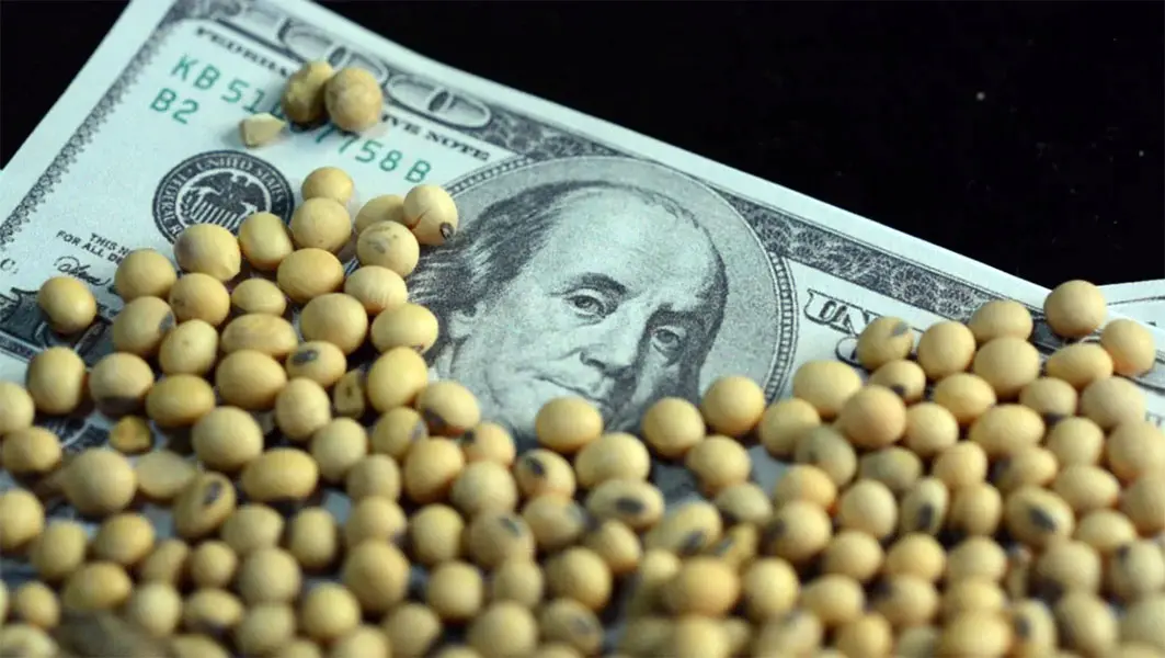 Ya se vendieron 5 millones de toneladas de granos con el nuevo dólar agro