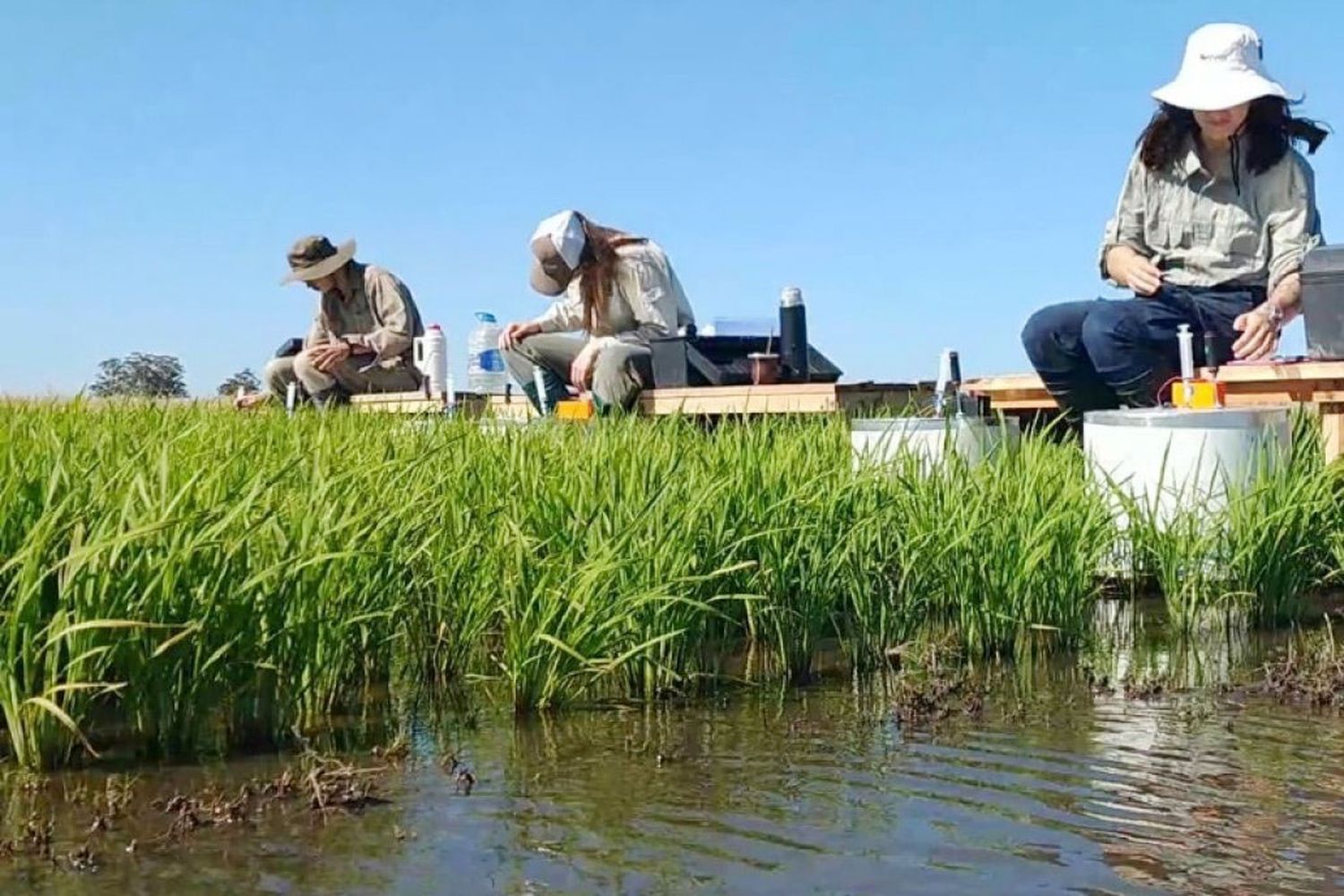 Entre Ríos y Corrientes se están quedando sin fuentes de agua por represas para regar arroz