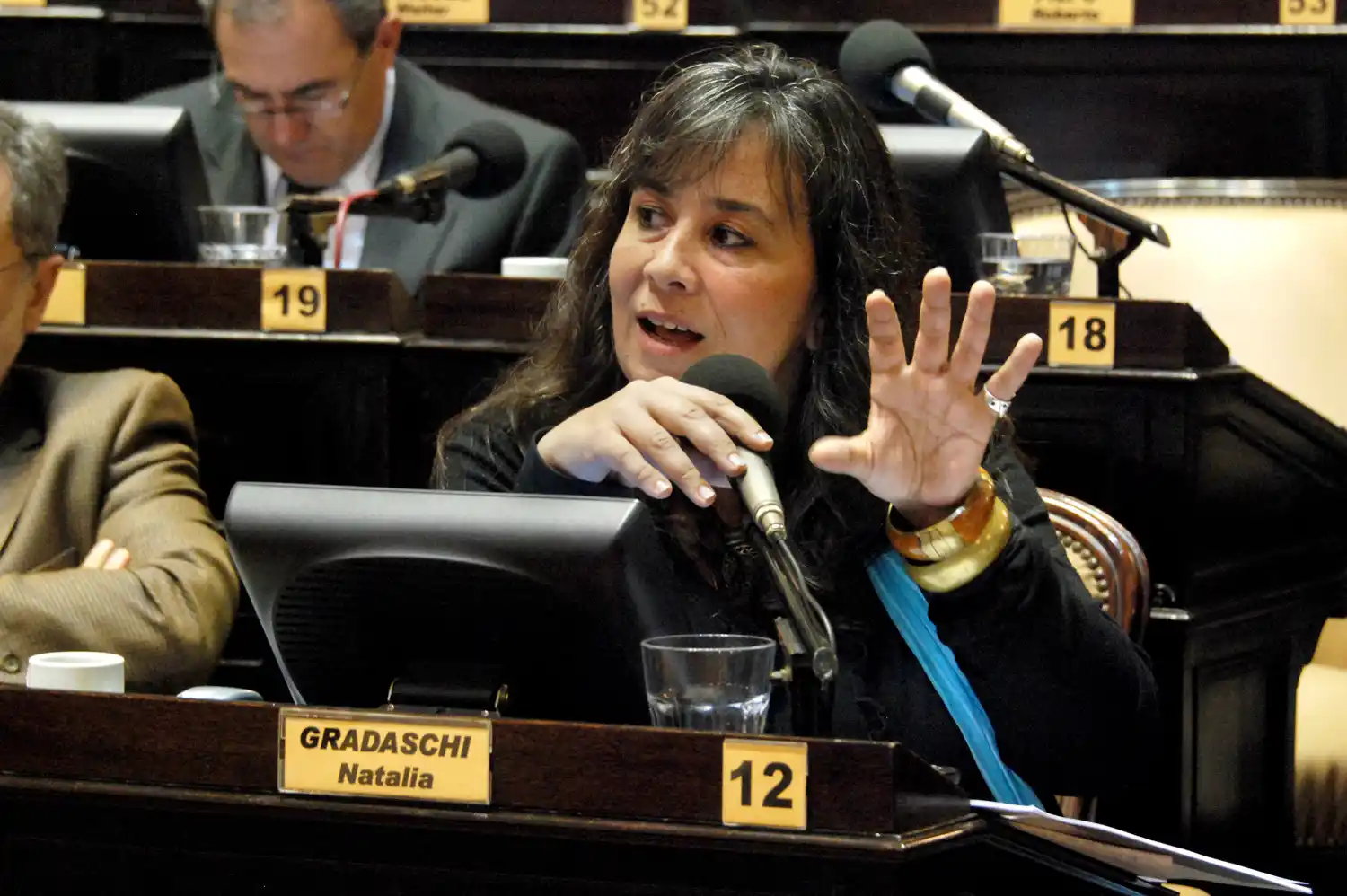 Gradaschi calificó como "acto de justicia" la incorporación de los jardines comunitarios