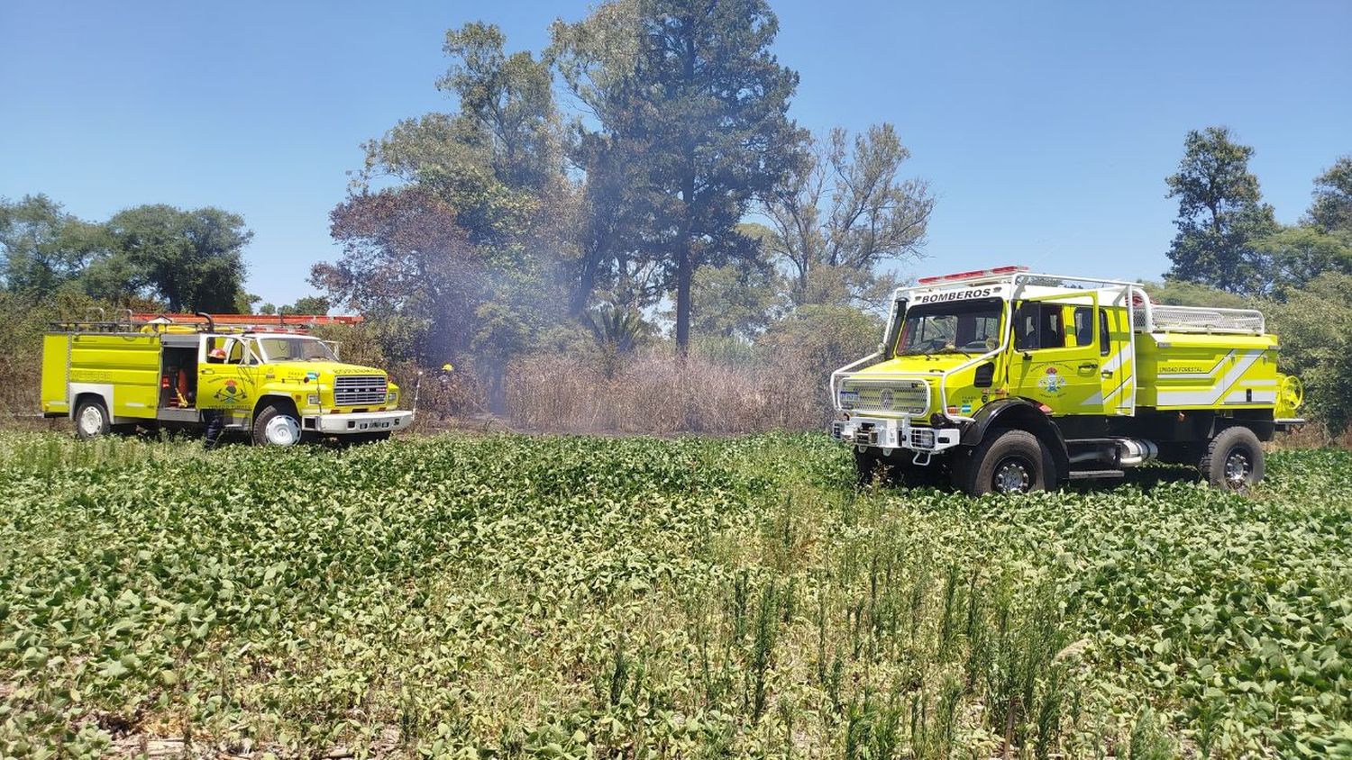 incendio pastos - 1