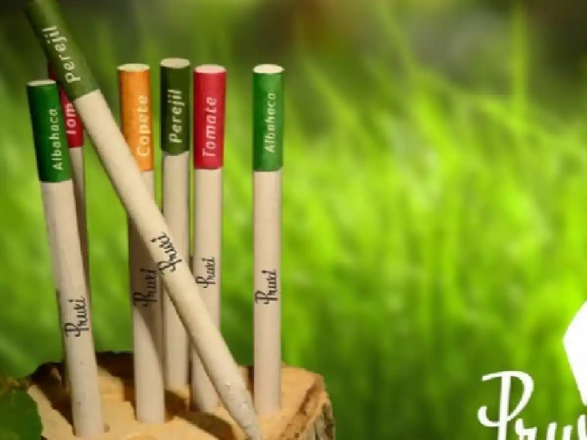 Pruxi, los ecolápices sanjuaninos que al terminarse se plantan y crecen distintas especies