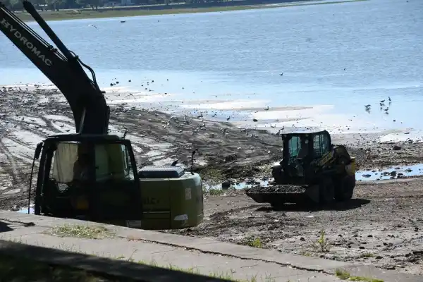 Se realizó una nueva jornada de limpieza a orillas de la laguna de Chascomús