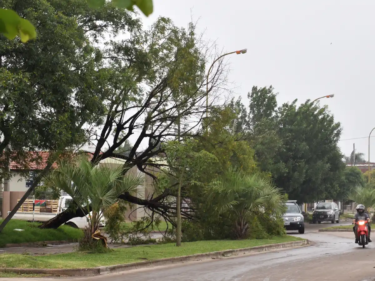 Alerta por tormentas fuertes: cómo prevenir accidentes en la calle y en el hogar