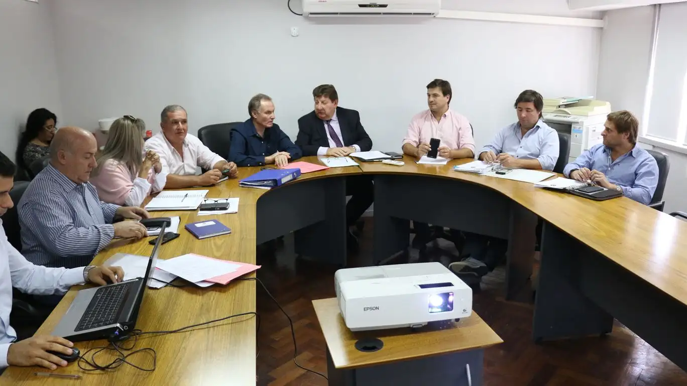 Senadores trataron un proyecto para reducir la tarifa eléctrica