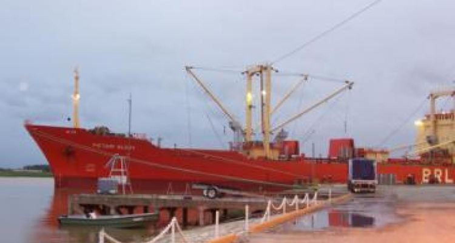 La exportación de frutas empieza con todo