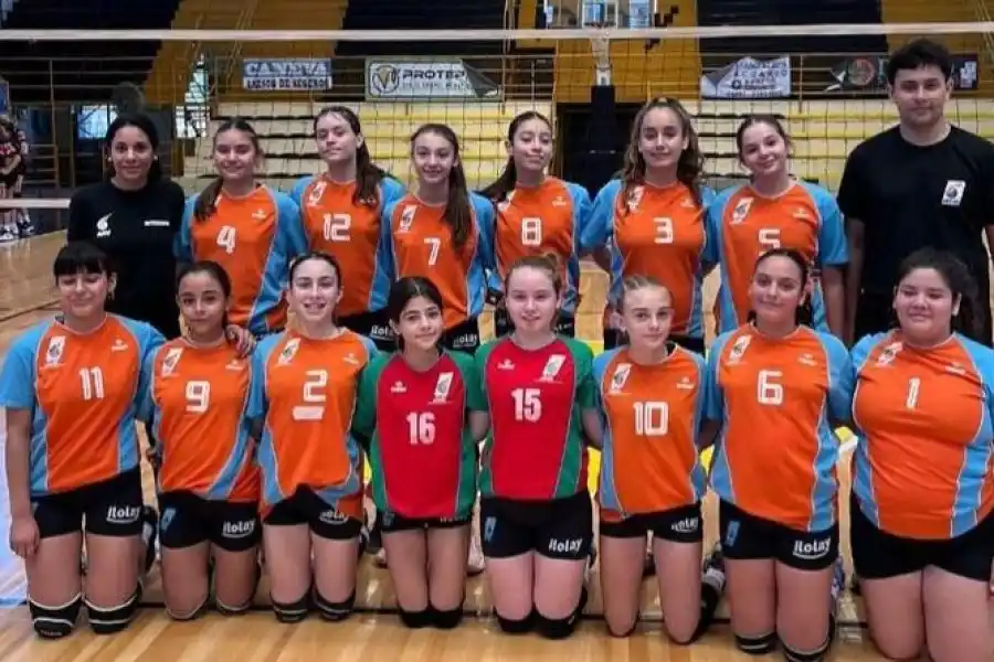 Seleccionado Masculino de la ARV