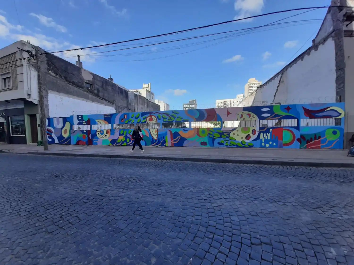 Un nuevo mural de CEB se luce en Tandil, en homenaje a los organismos eucariotas.