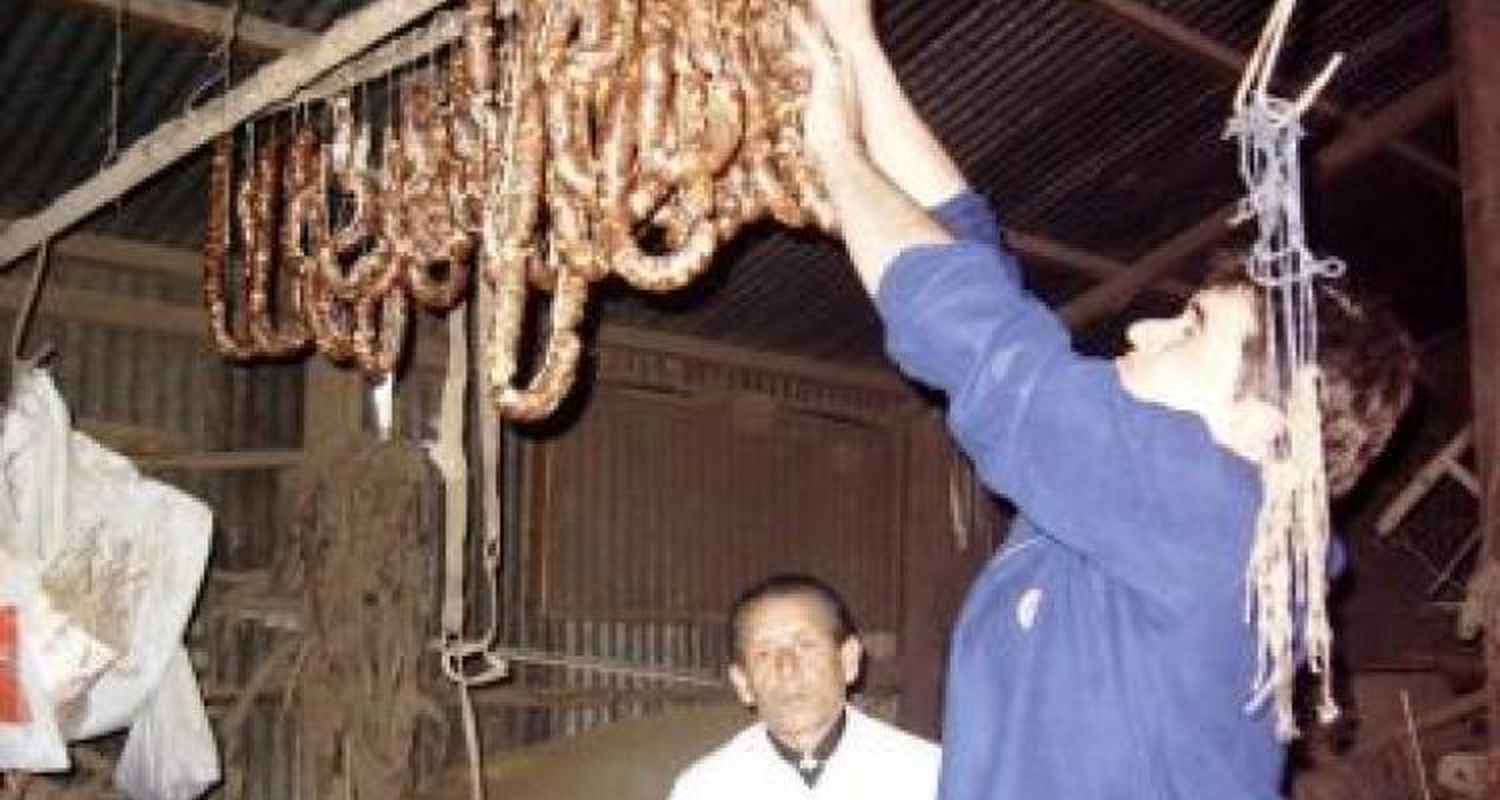 Nuevos equipos para análisis de triquinosis