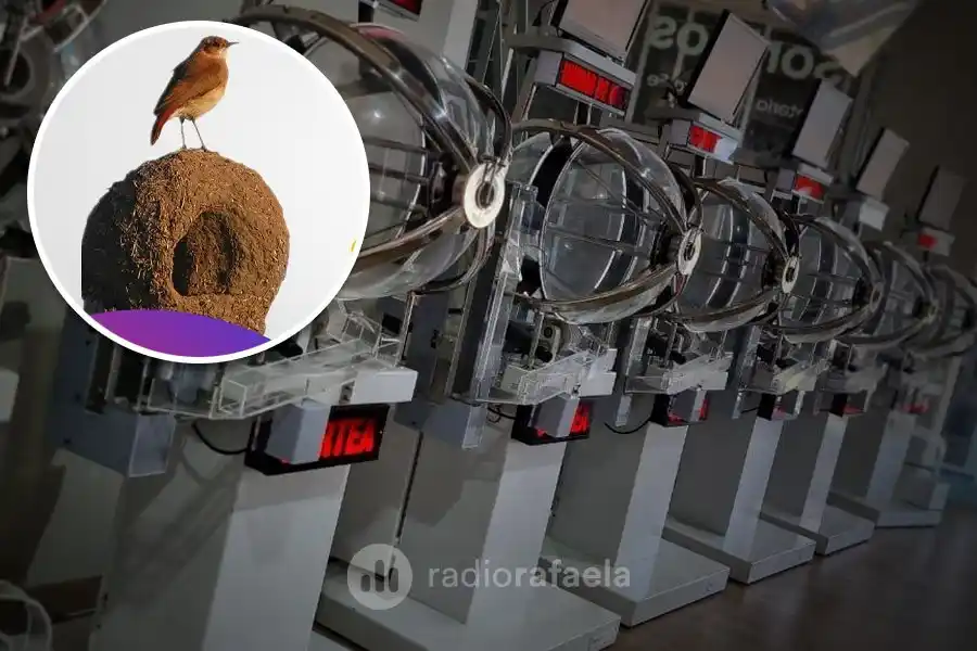 Primer sorteo de los créditos hipotecarios NIDO