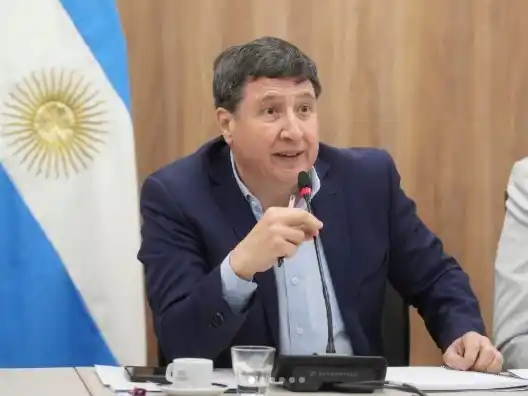 Daniel Arroyo, presidente de la comisión de Discapacidad.