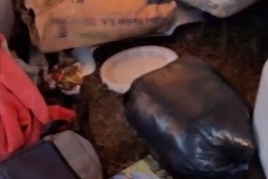 No se salva nadie: estaban de campamento, fueron a pescar y les robaron casi todo