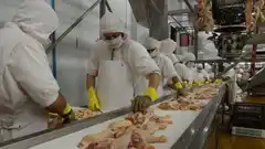 Paritarias: el gremio de la carne acordó una mejora salarial