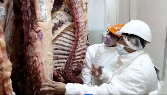 Estiman que el precio de la carne continuará por debajo de la inflación