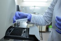 Quince muestras dieron negativo para Covid-19  y hay nueve casos en estudio