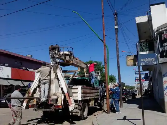 Se plantaron 80 lapachos y siguen con las mejoras en Avenidas y Boulevares