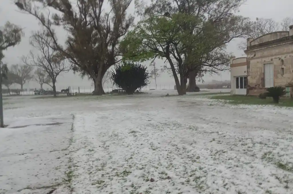 En redes sociales compartieron imágenes de las piedras