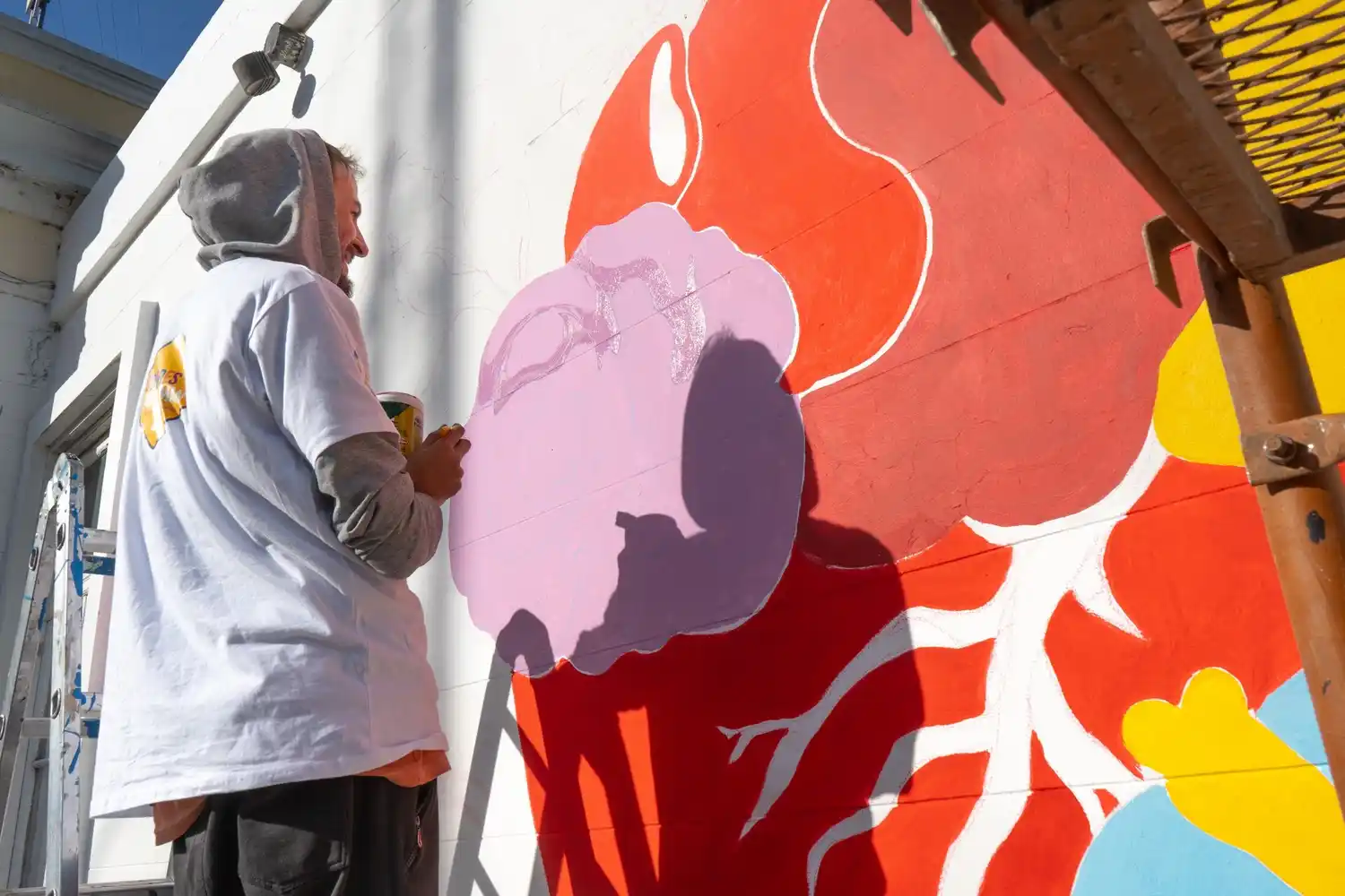 donacion de organos mural