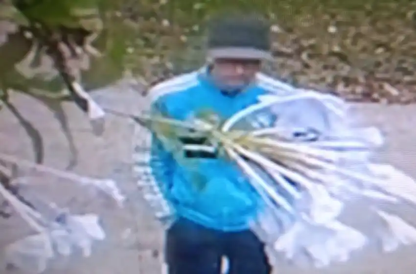 Rompieron el vidrio de un auto para robar en el barrio San Carlos