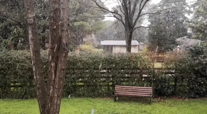 Nieve en el noroeste bonaerense y en Sierra de la Ventana