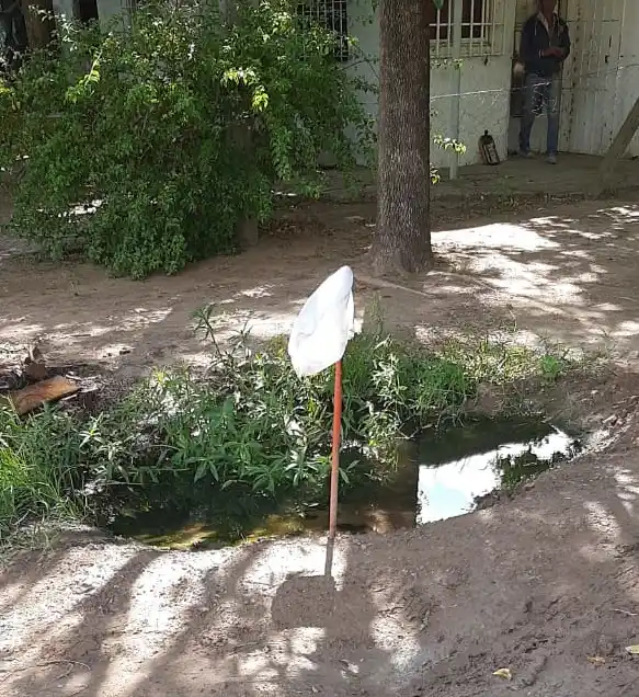 Un mes con el tubo roto
