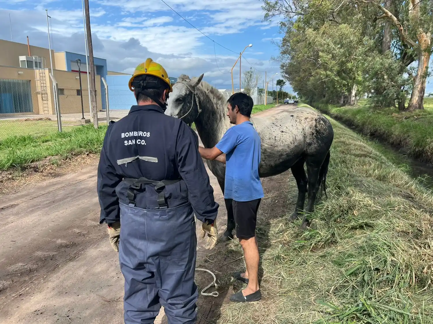 El caballo fue rescatado.
