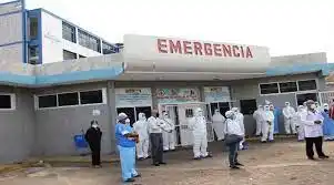 POR ATAQUE DE ABEJAS EN EL TIGRE: a una mujer embarazada le extrajeron al menos 150 aguijones (+Video)