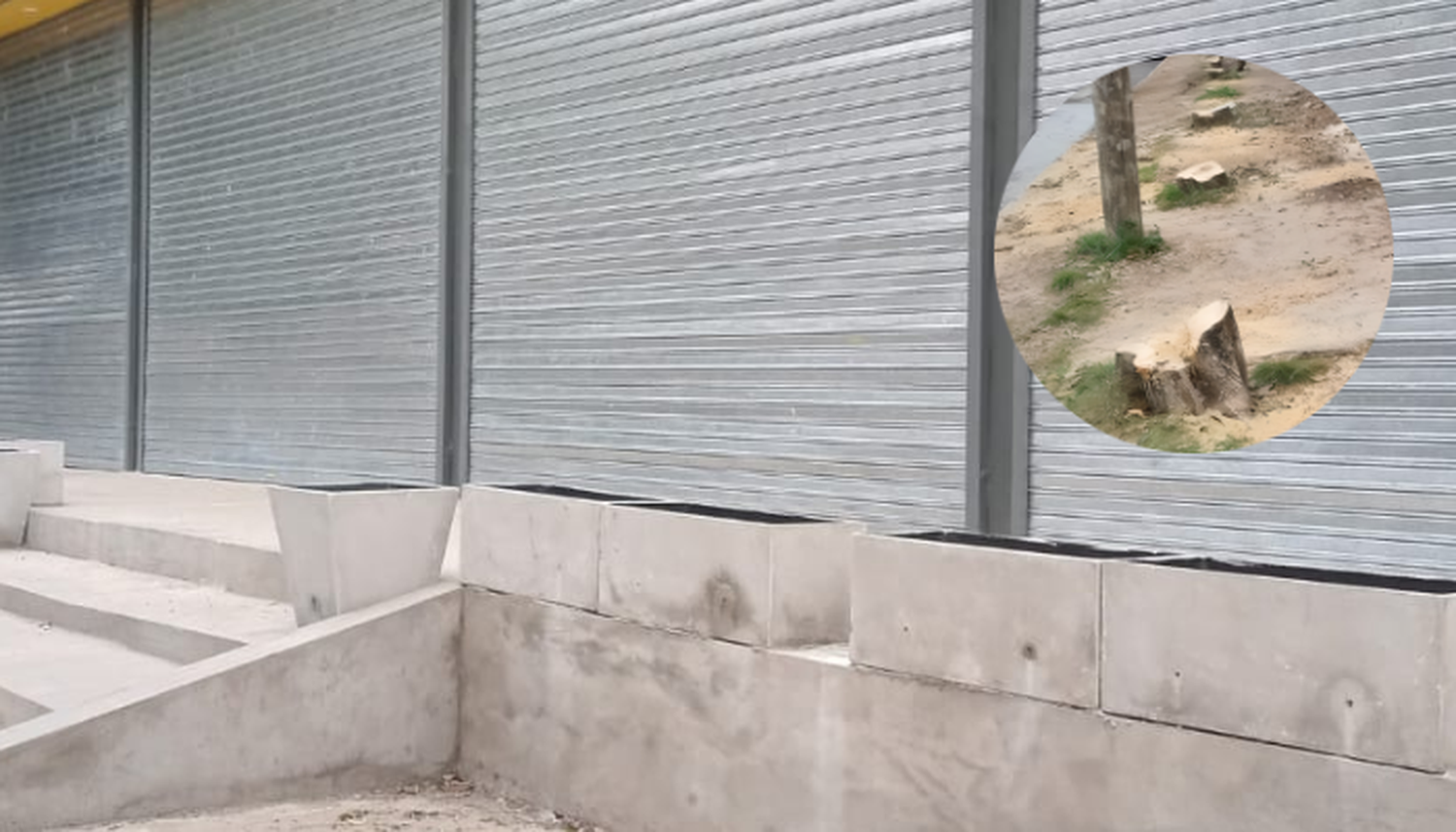 Reemplazaron los árboles talados en la avenida 3 de Febrero con maceteros de cemento