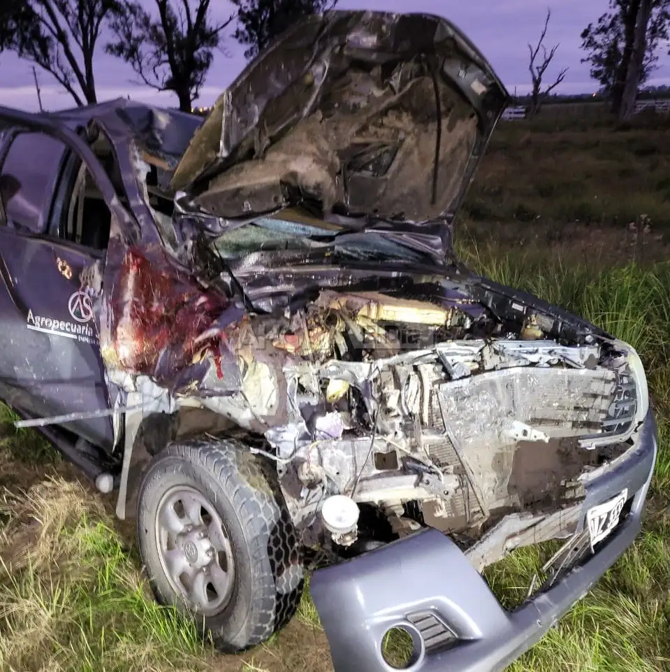Iban a trabajar en camioneta e impactaron violentamente contra un caballo suelto