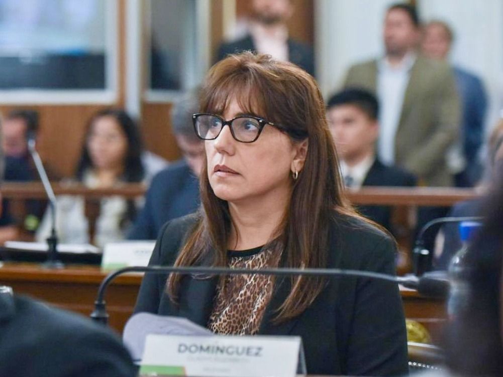 Gladys Domínguez presentó un proyecto de ley para impulsar el desarrollo integral del norte entrerriano