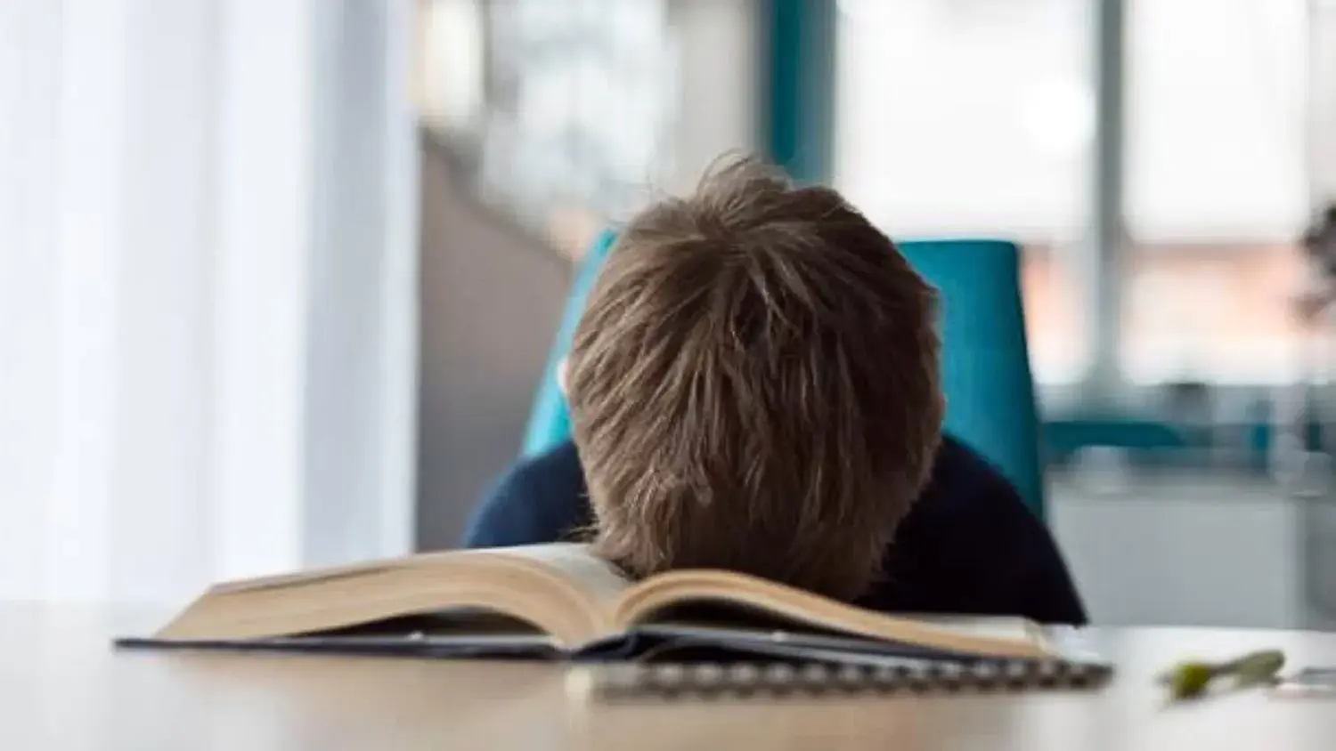 Conciencia alertó por la desmotivación escolar: 'la secundaria dejó de ser un puente hacia la empleabilidad'