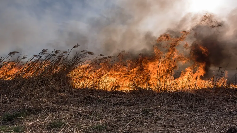 Luego de diez días, fueron contenidos todos los focos de incendios
