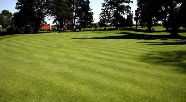 Ganadores del torneito de golf