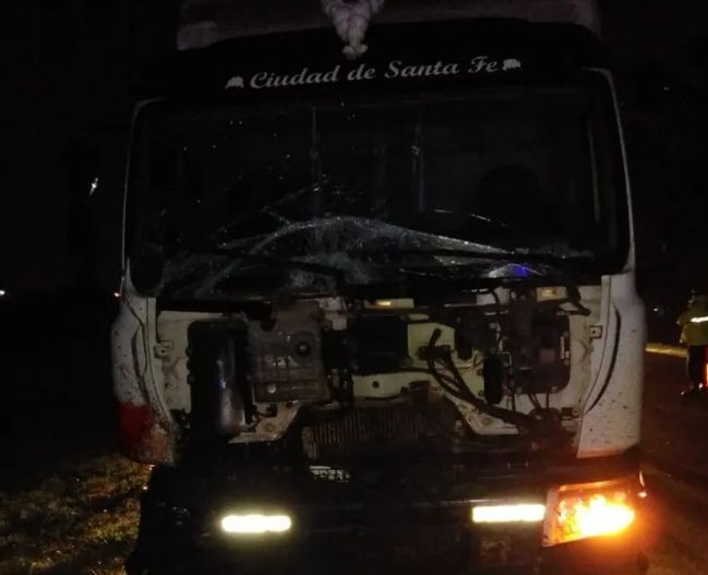 Camión chocó y mató una yegua: sobrevivió el potrillo