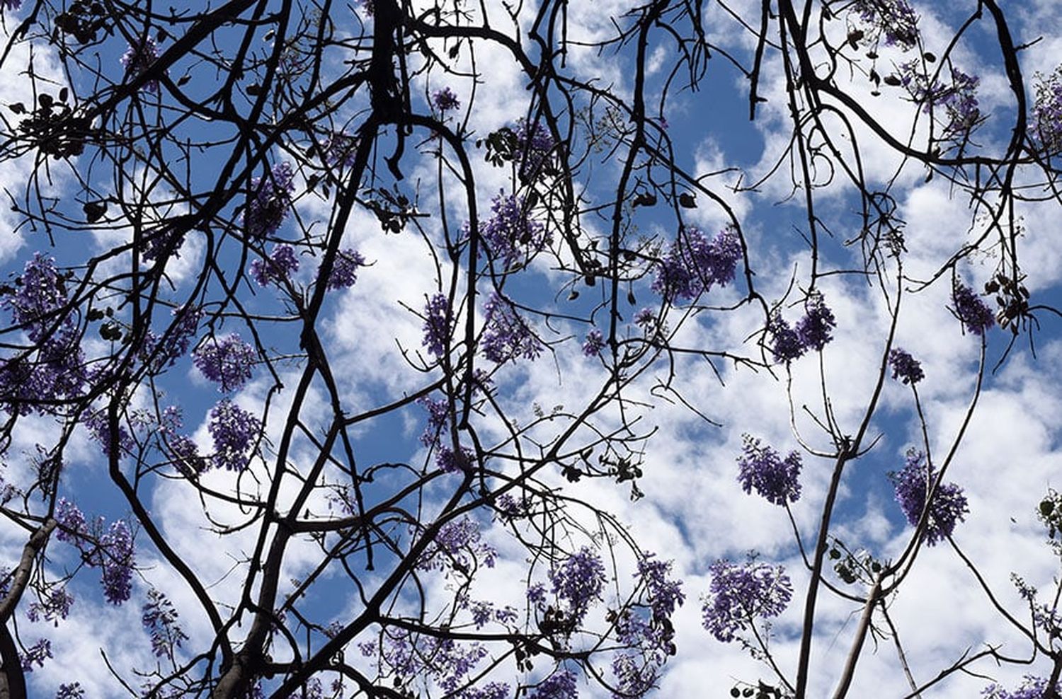 Domingo de Pascua inestable en Rosario: despejado por la mañana pero nublado por la tarde