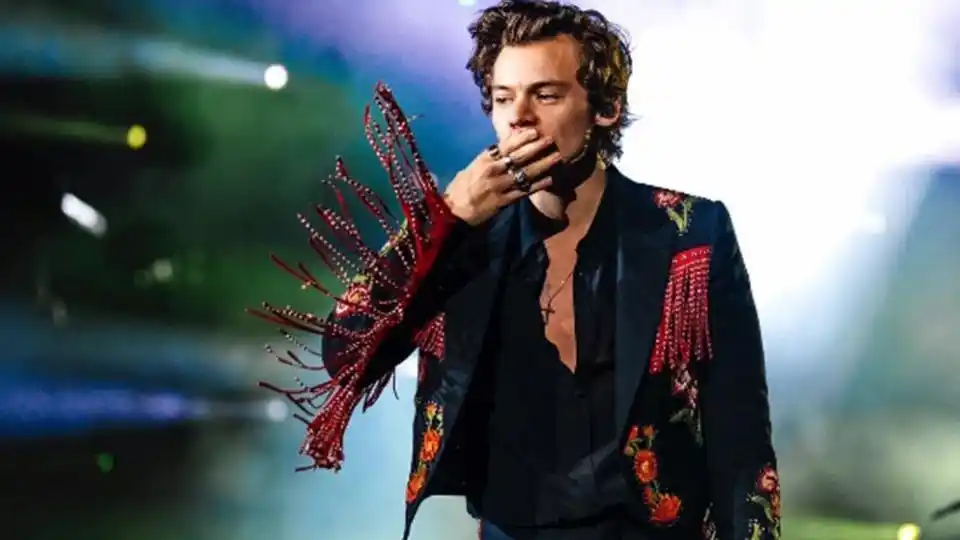 La acosadora de 35 años se declaró culpable