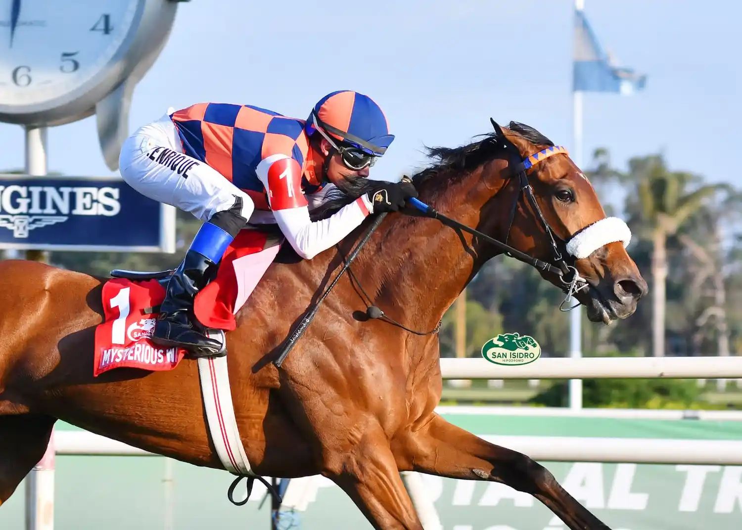 Mysterious Way, una de las figuras del Clásico Paseana (G2), en San Isidro