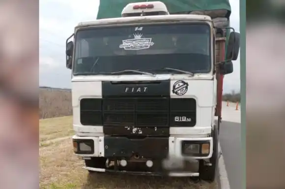 Interceptan en Esperanza un camión con 28.000 kilos de carbón sin documentación