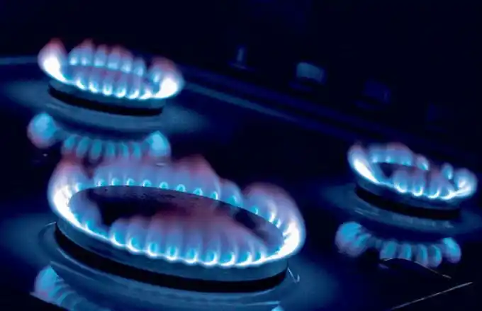 Tarifazo de gas: Proyecto de la UCR para dejar sin efecto los fuertes aumentos