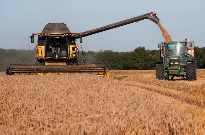 ruben walter campaña agricola campo cosecha siembra granos - 2