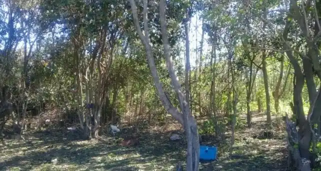 Horror en San Pedro: Un grupo de adolescentes violó a una niña la noche de su cumpleaños de 15